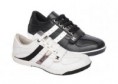 /products/a804-m/